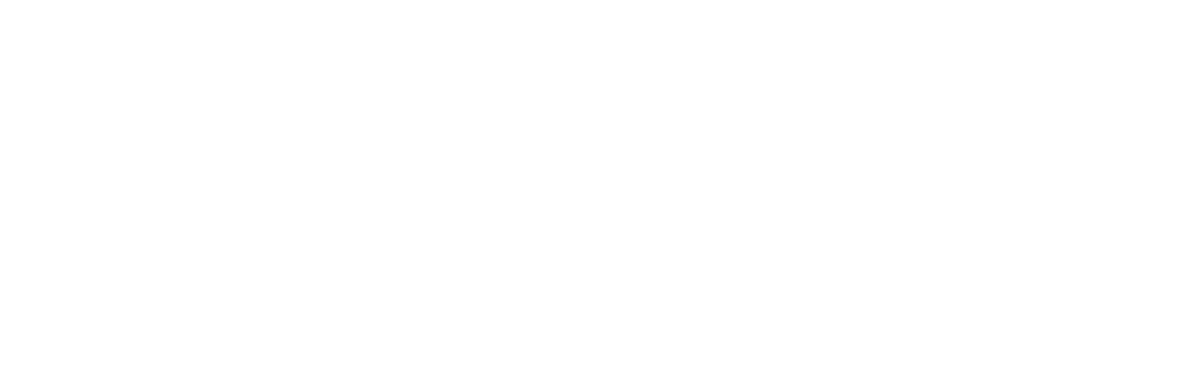 Concert program