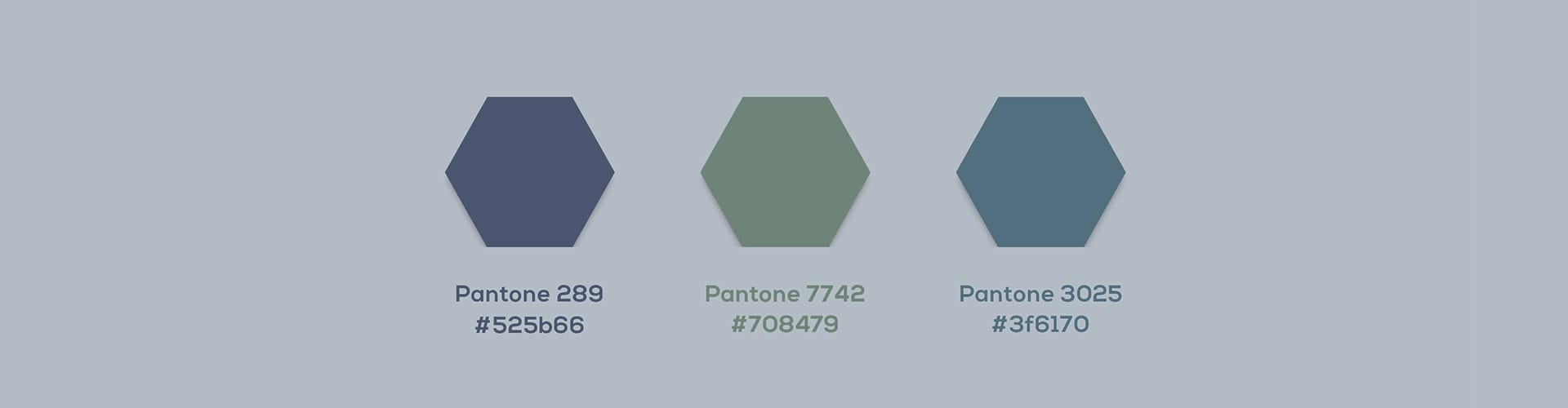 Brand colour palette: three Pantone hexagon swatches — slate 289 #525b66, sage 7742 #708479 and blue 3025 #3f6170